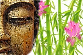 Buddha image close-up